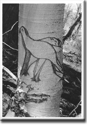 Basque carving of birds on tree